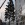 Weihnachsbaumstellen auf dem Stuttgarter Marktplatz